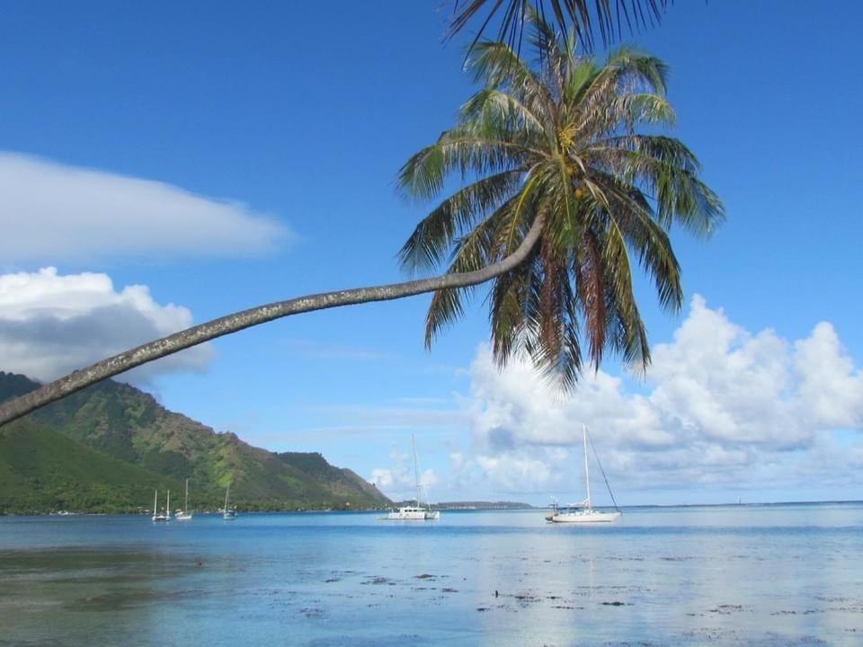 Beach De Reve De Moorea Hauru Zewnętrze zdjęcie