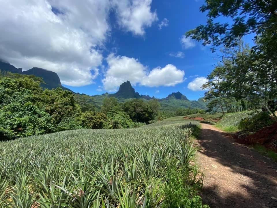 Beach De Reve De Moorea Hauru Zewnętrze zdjęcie