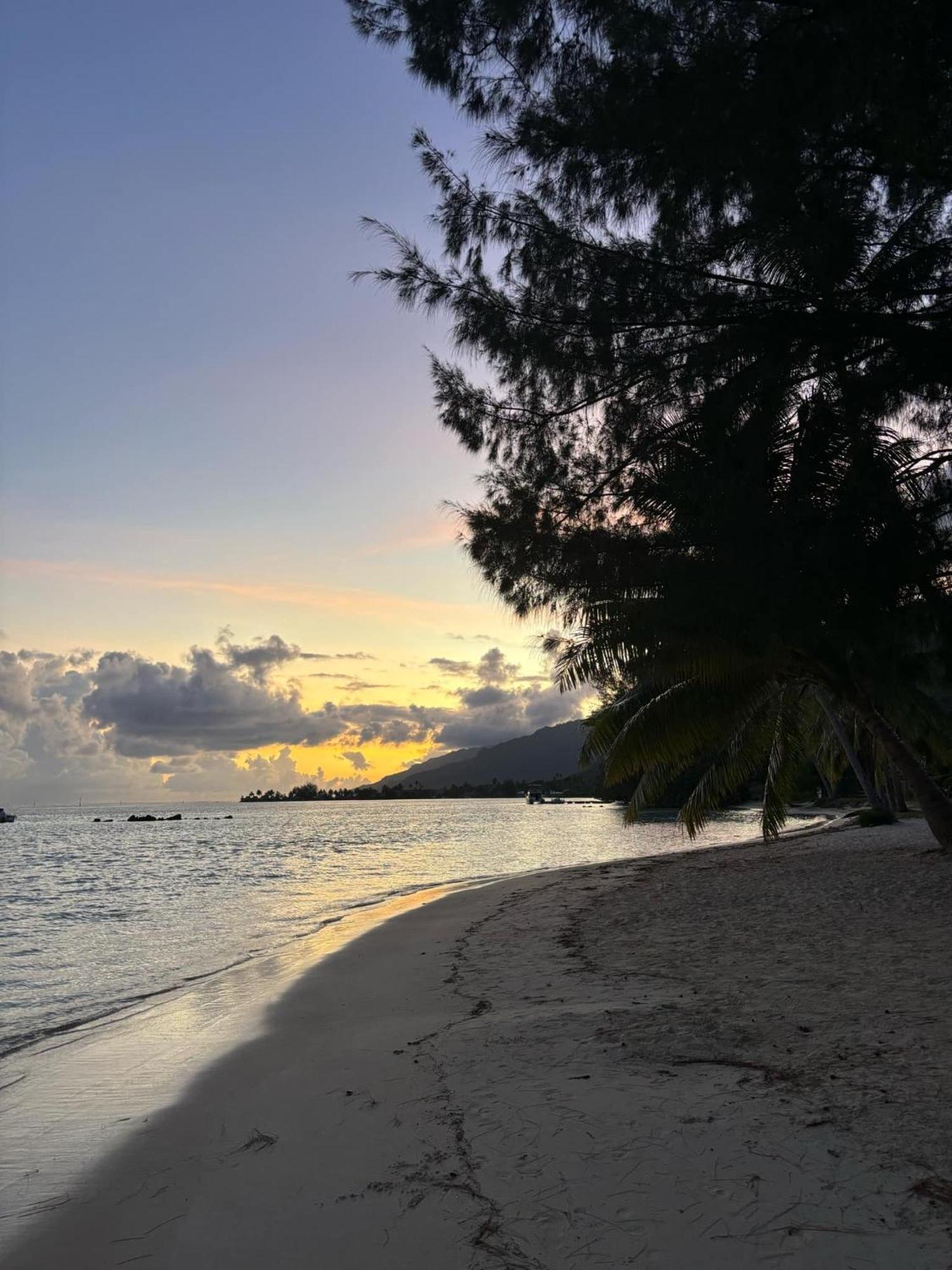 Beach De Reve De Moorea Hauru Zewnętrze zdjęcie